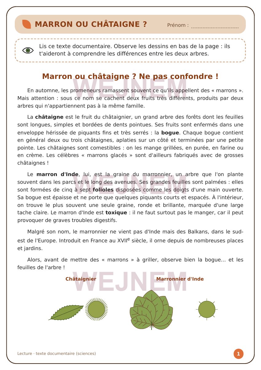 Page de lecture du cahier d’automne CM2