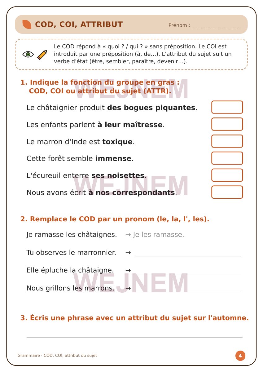 Page de grammaire du cahier d’automne CM2